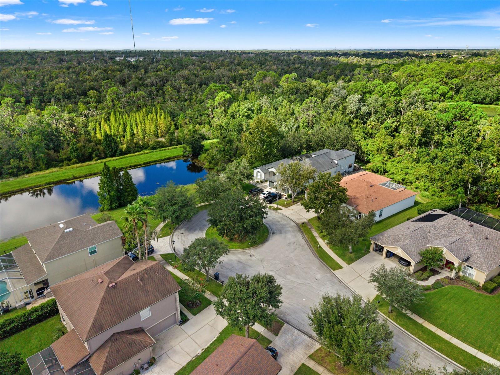 6111 HERONCREST COURT, LITHIA, FL, 33547 3 6111 HERONCREST COURT