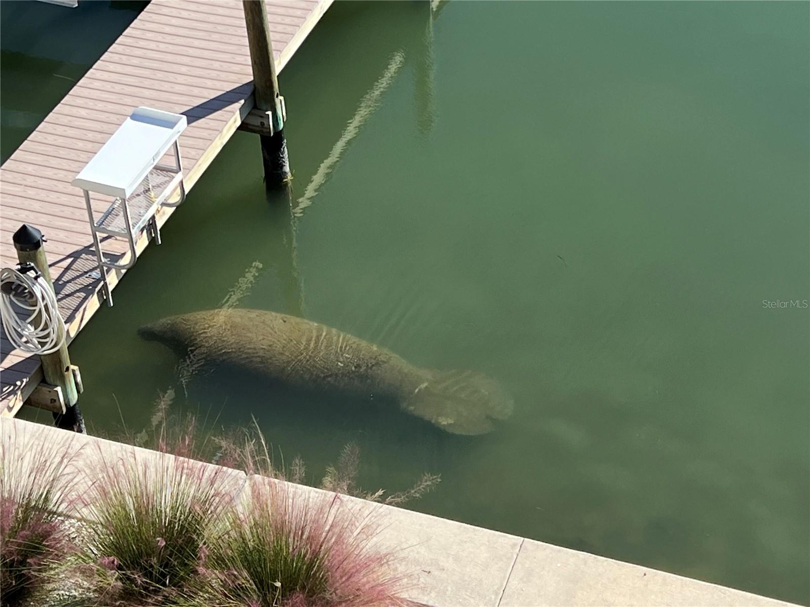 BAYSIDE ADD TO ST PETE BEACH - Residential