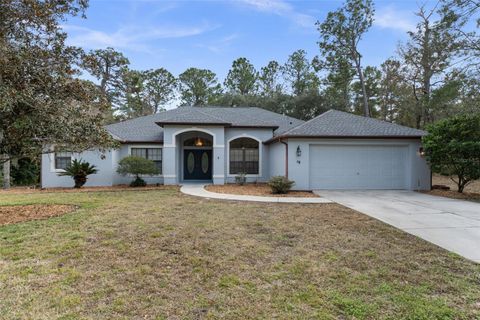 19 FOXGLOVE COURT HOMOSASSA FL 34446