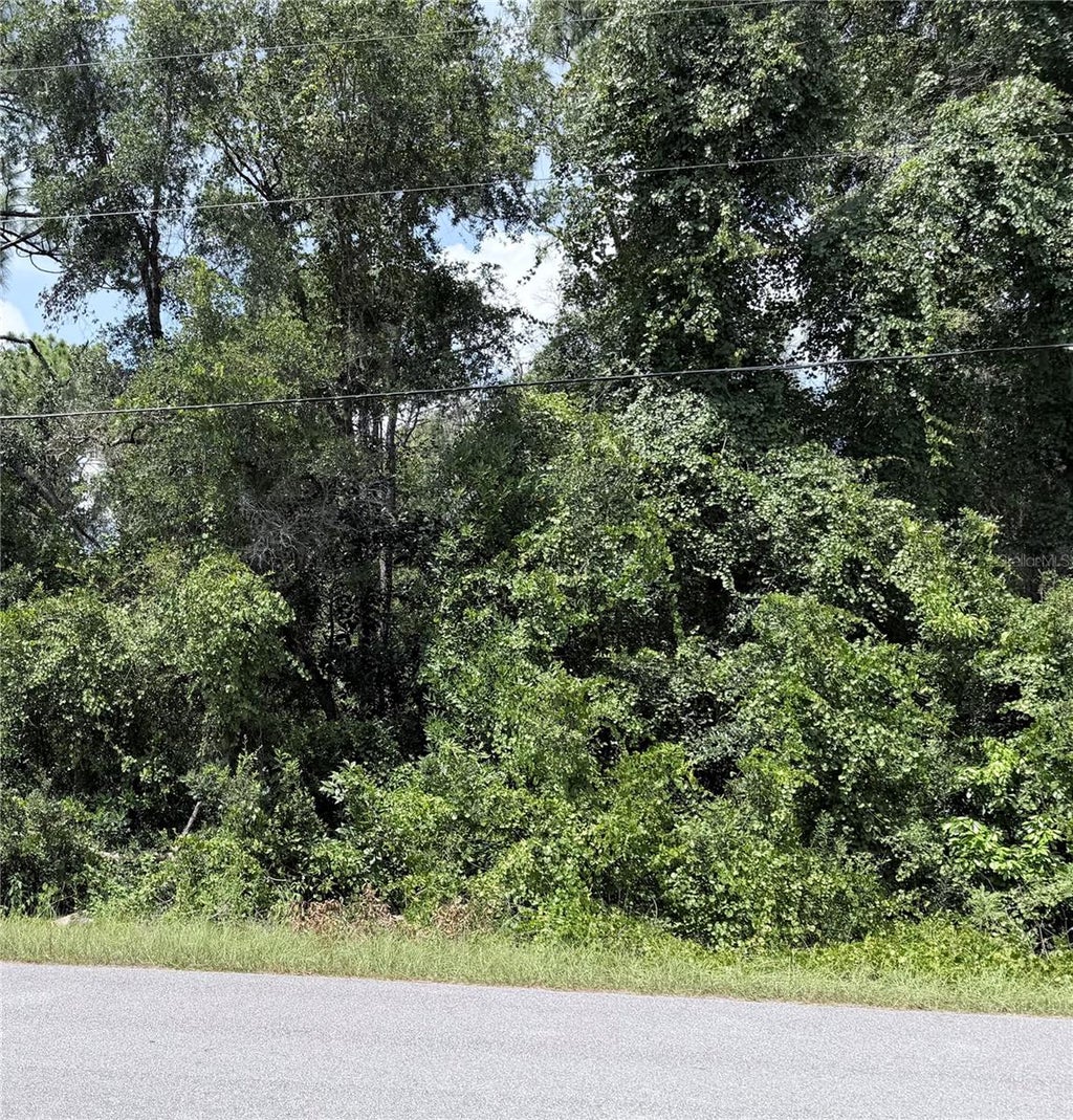 Photo of 13155 Saddle Way, Brooksville, FL 34613 (MLS # TB8543628)