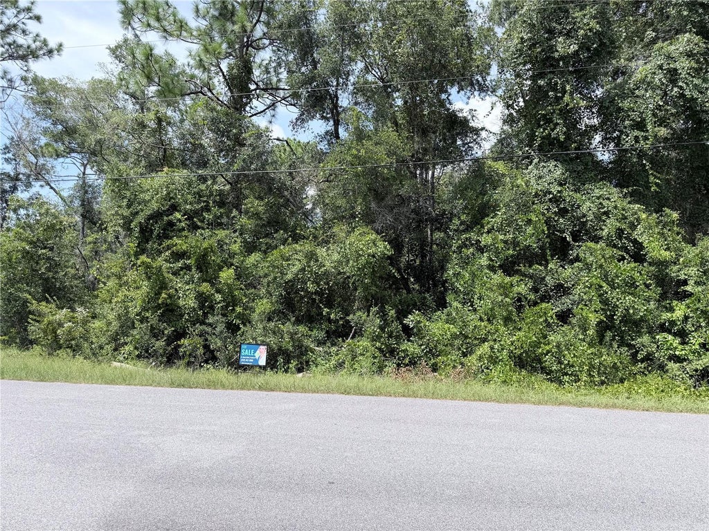 Photo of 13155 Saddle Way, Brooksville, FL 34613 (MLS # TB8543628)
