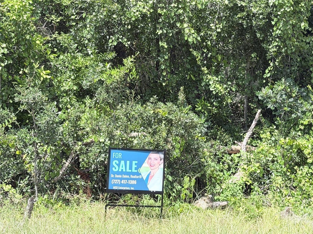 Photo of 13155 Saddle Way, Brooksville, FL 34613 (MLS # TB8543628)
