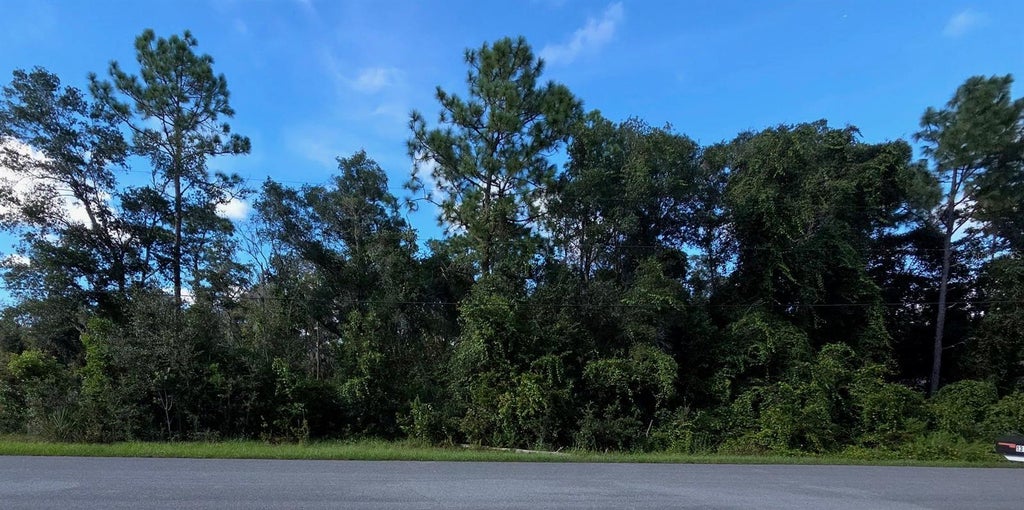 Photo of 13155 Saddle Way, Brooksville, FL 34613 (MLS # TB8543628)