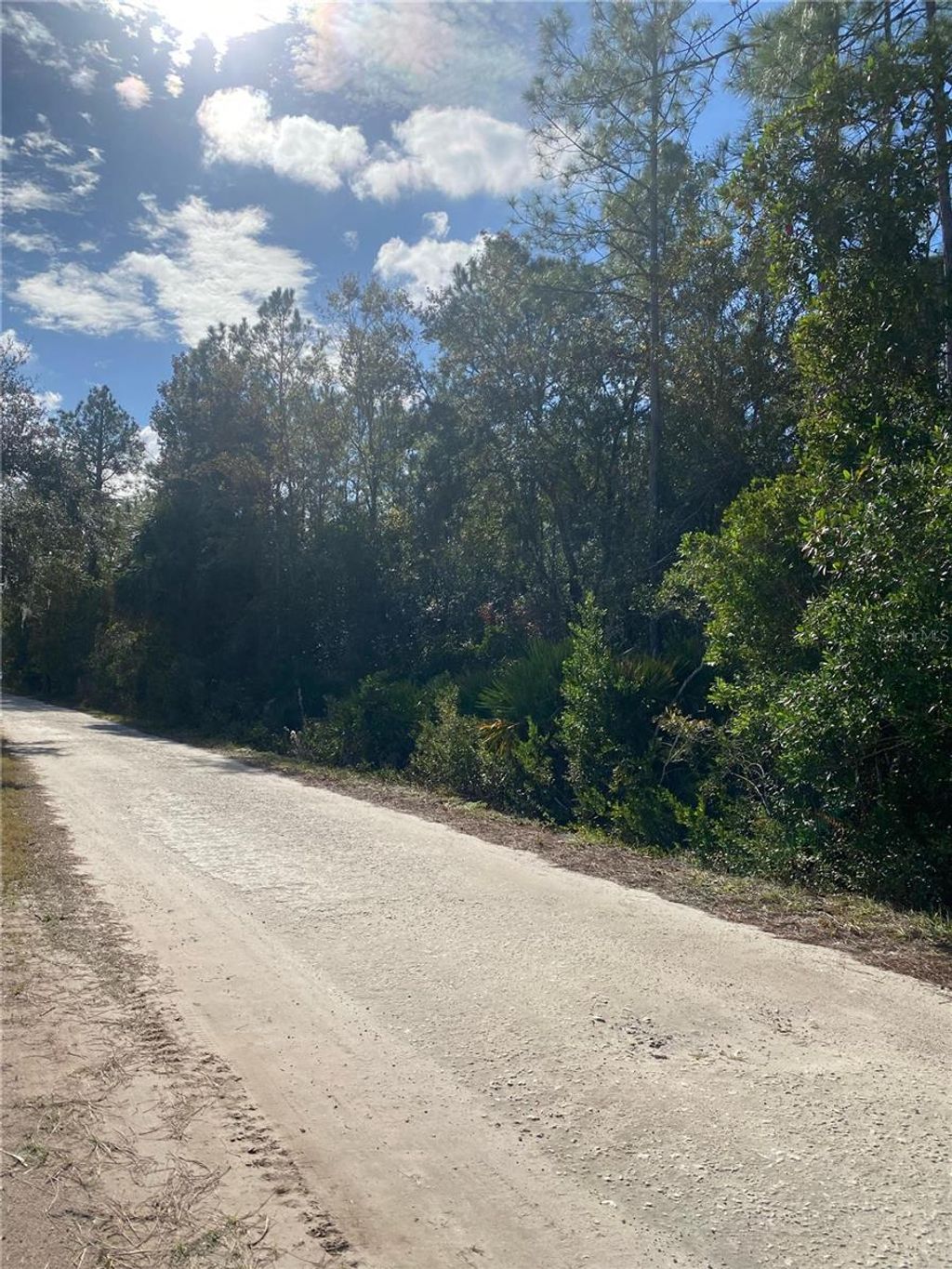 Photo of 862 Lamar Street E, Lehigh Acres, FL 33974 (MLS # O6363242)