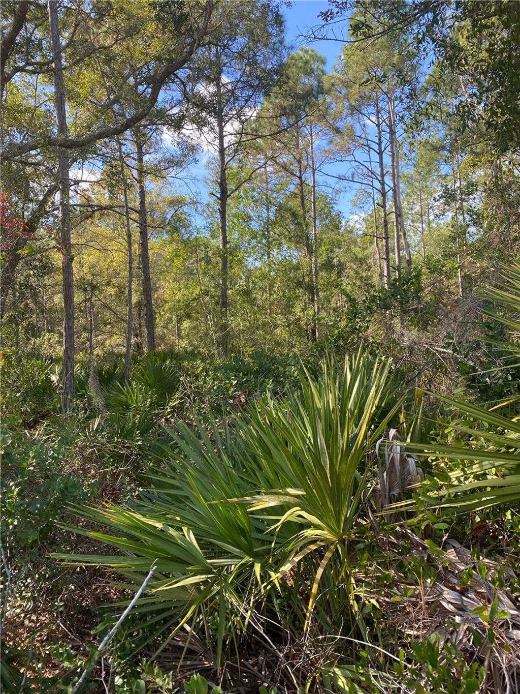 Photo of 862 Lamar Street E, Lehigh Acres, FL 33974 (MLS # O6363242)