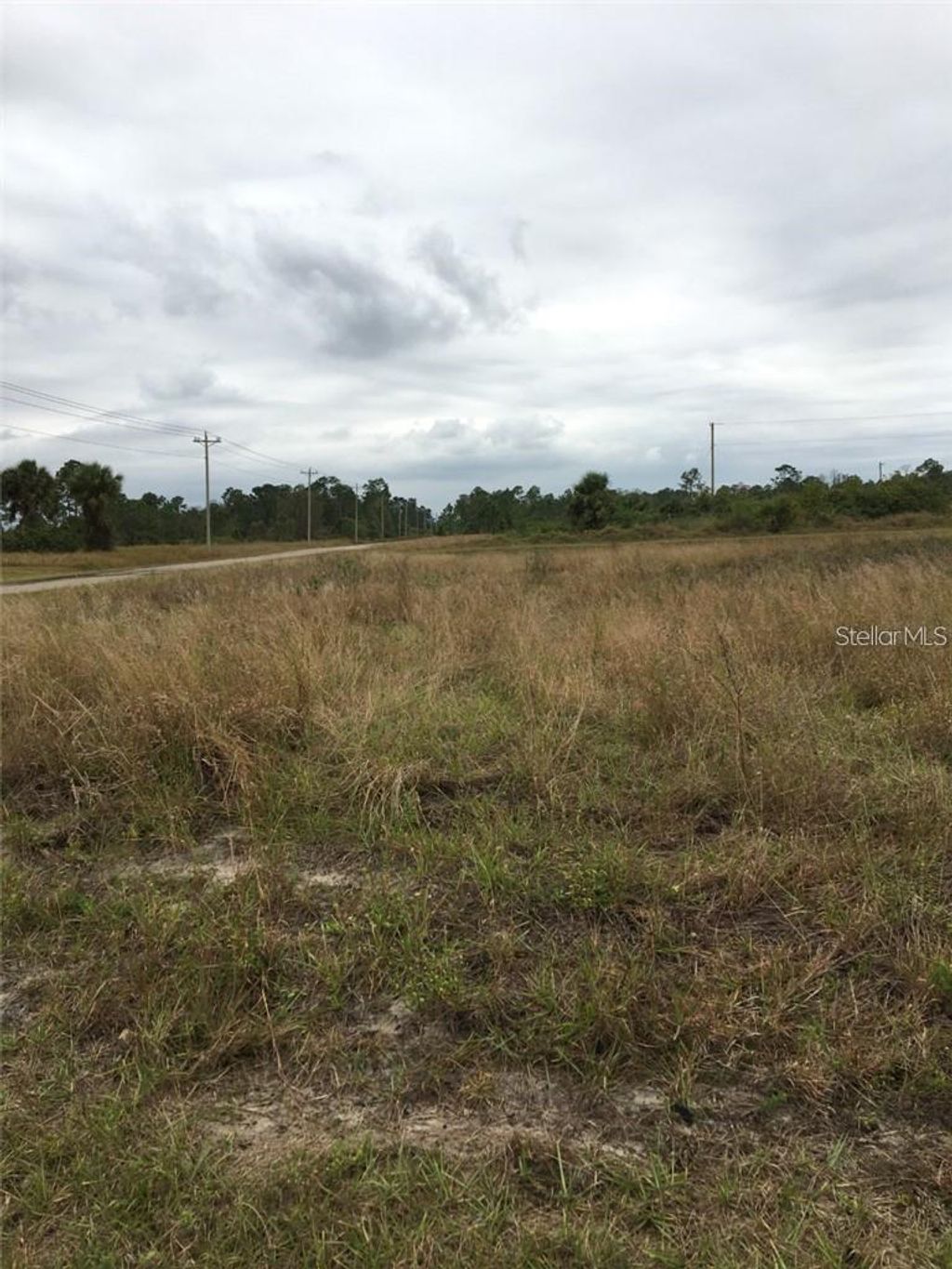 Photo of 862 Lamar Street E, Lehigh Acres, FL 33974 (MLS # O6363242)