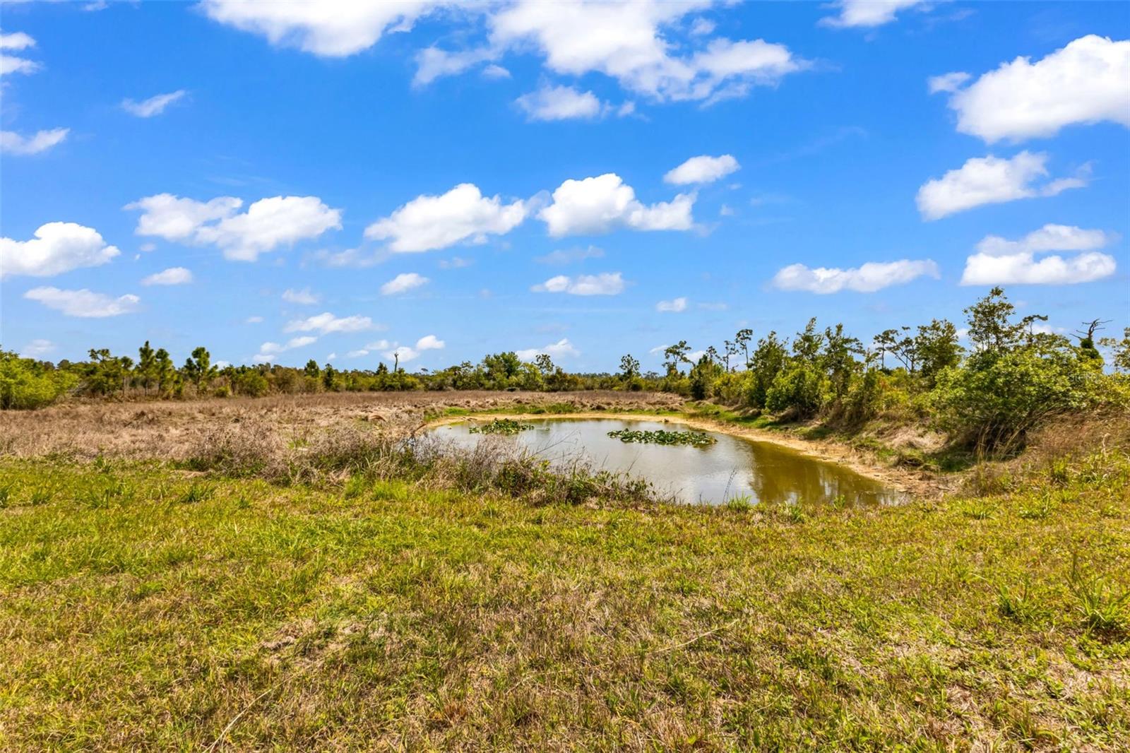 PUNTA GORDA - Residential