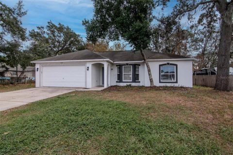 Photo of 11066 Avis Street, Spring Hill, FL 34608 (MLS # TB8453234)