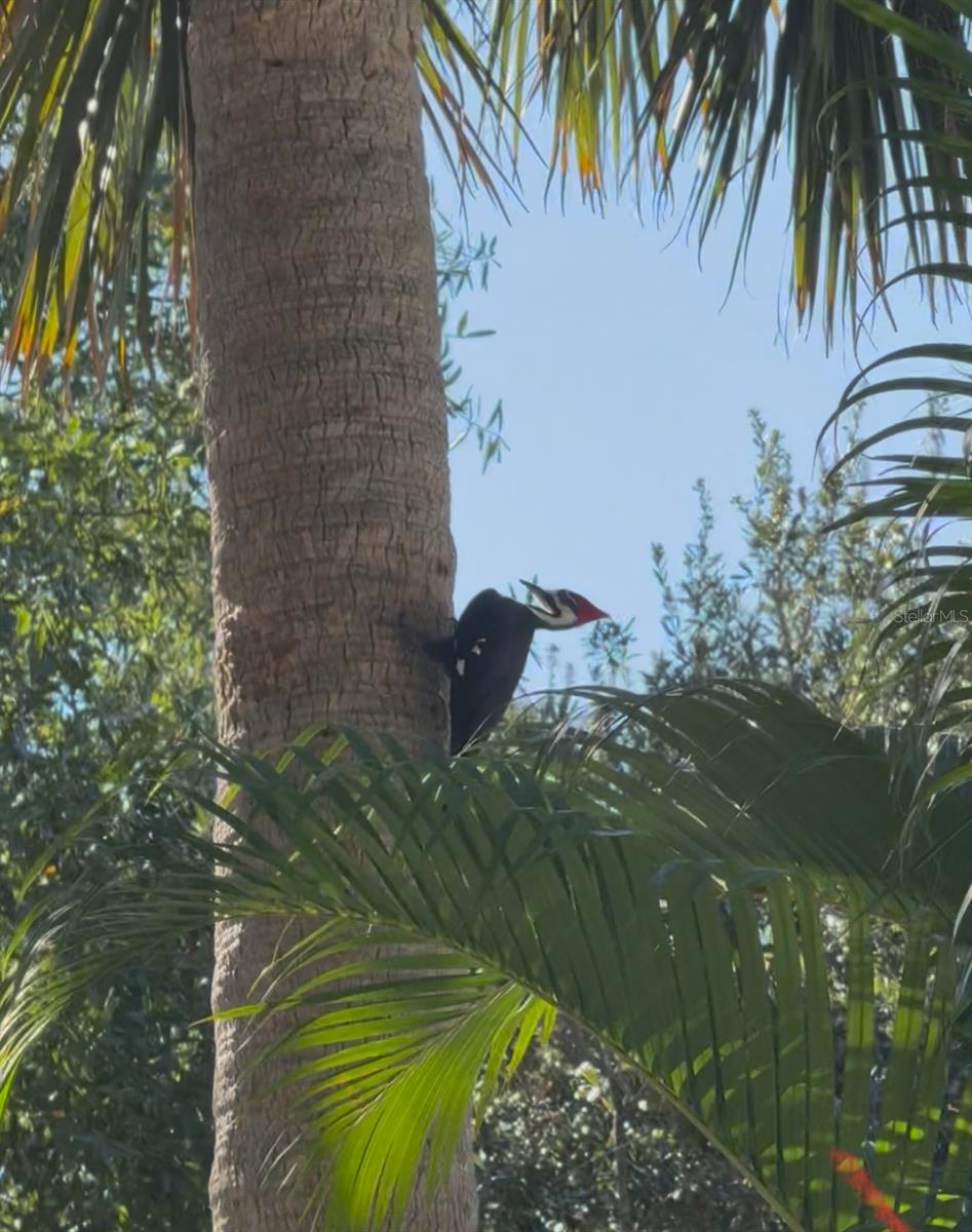 AVION OF - Residential