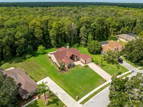 A home in SPRING HILL