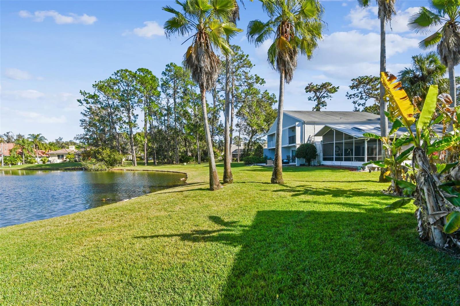 SADDLEBROOK GOLF COUNTRY CLUB - Residential