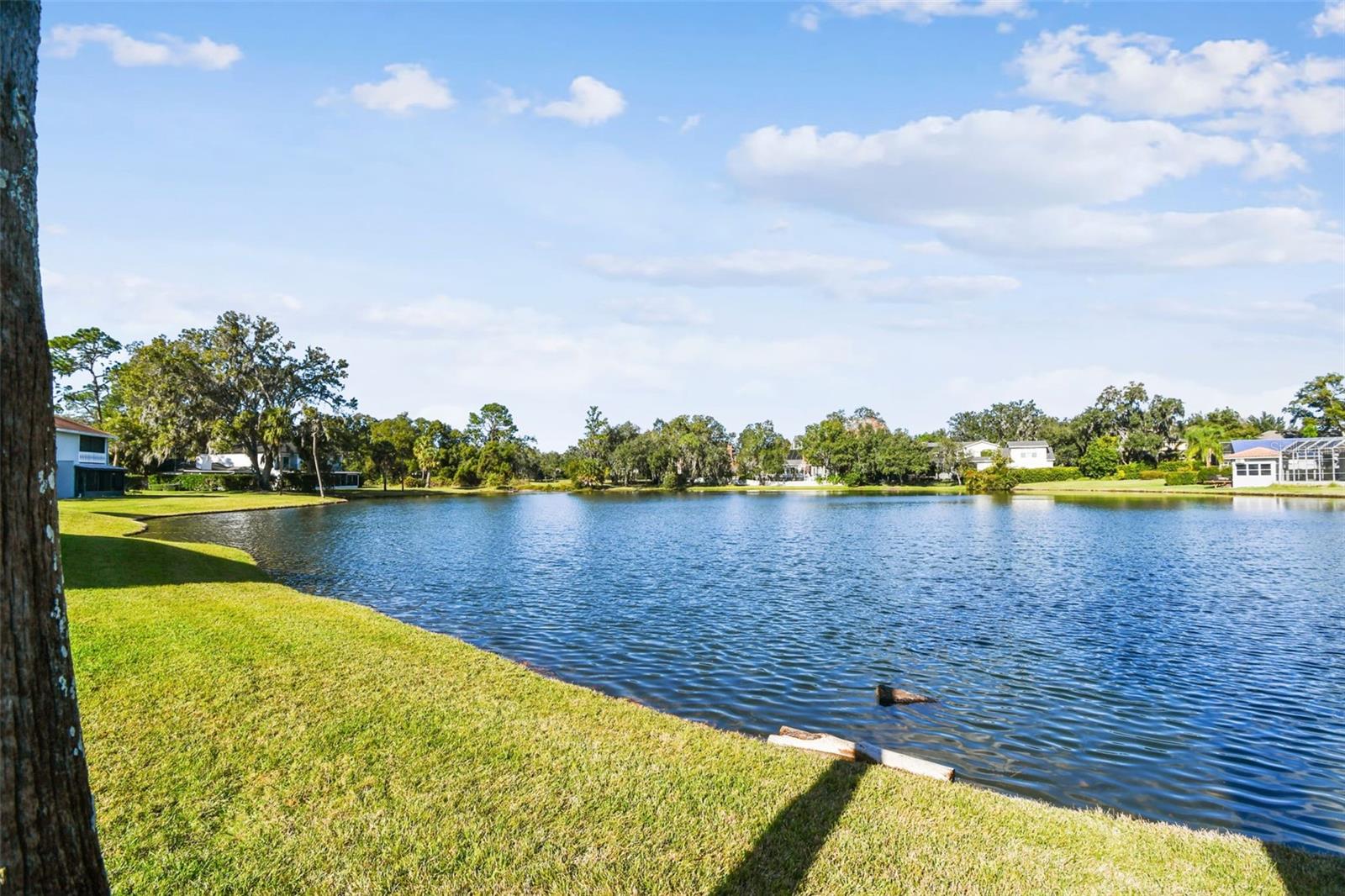 SADDLEBROOK GOLF COUNTRY CLUB - Residential
