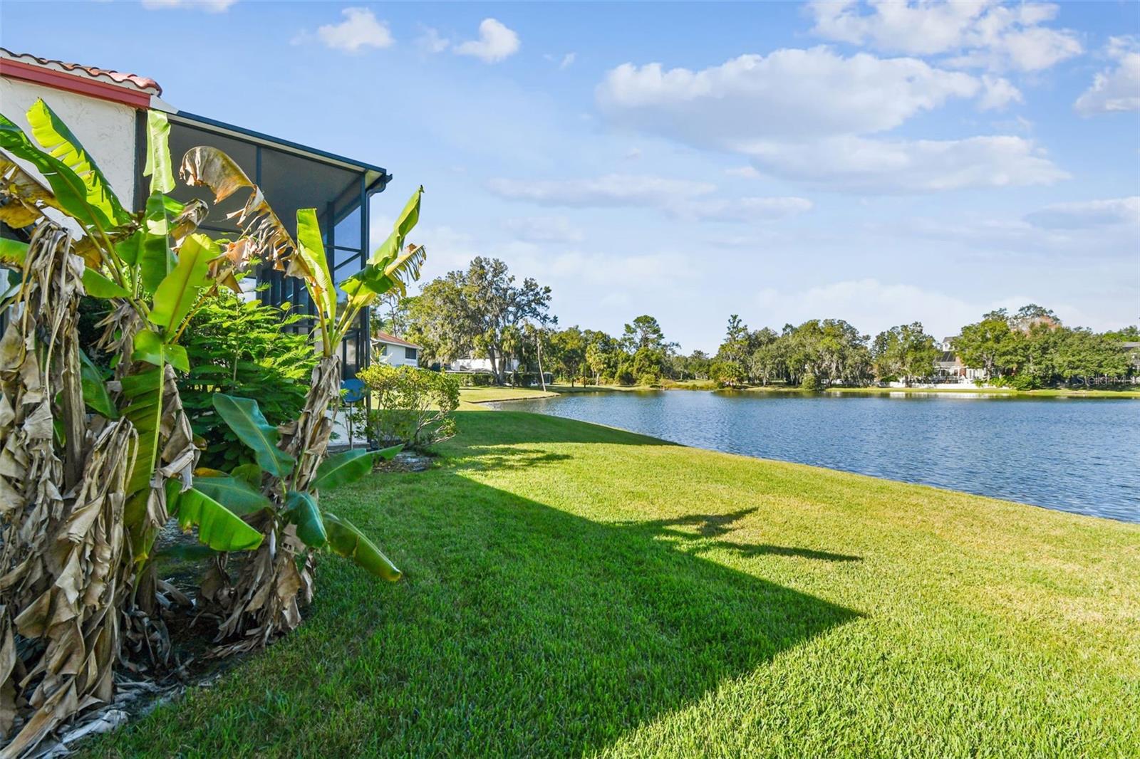 SADDLEBROOK GOLF COUNTRY CLUB - Residential