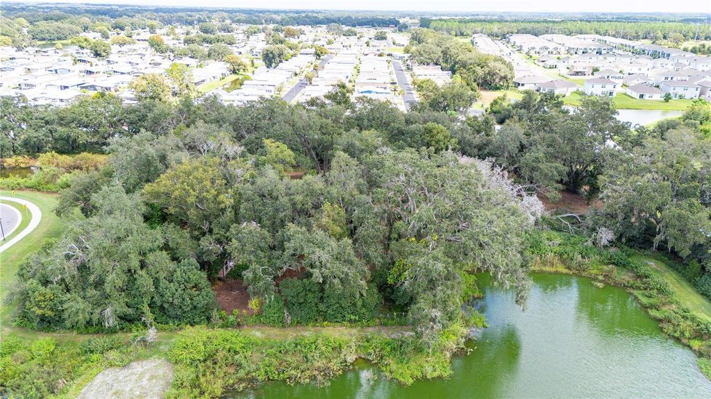 Photo of 33933 Brumwell Drive, Wesley Chapel, FL 33543 (MLS # TB8434057)
