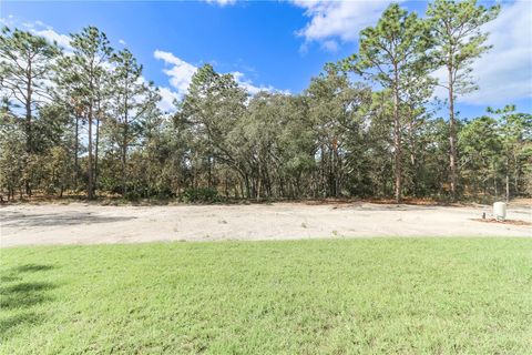 A home in DUNNELLON