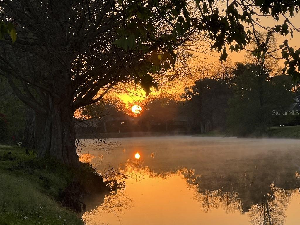 WESTCHASE SEC 378 - Residential