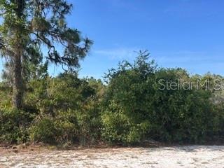INDIAN LAKE ESTATES - Land