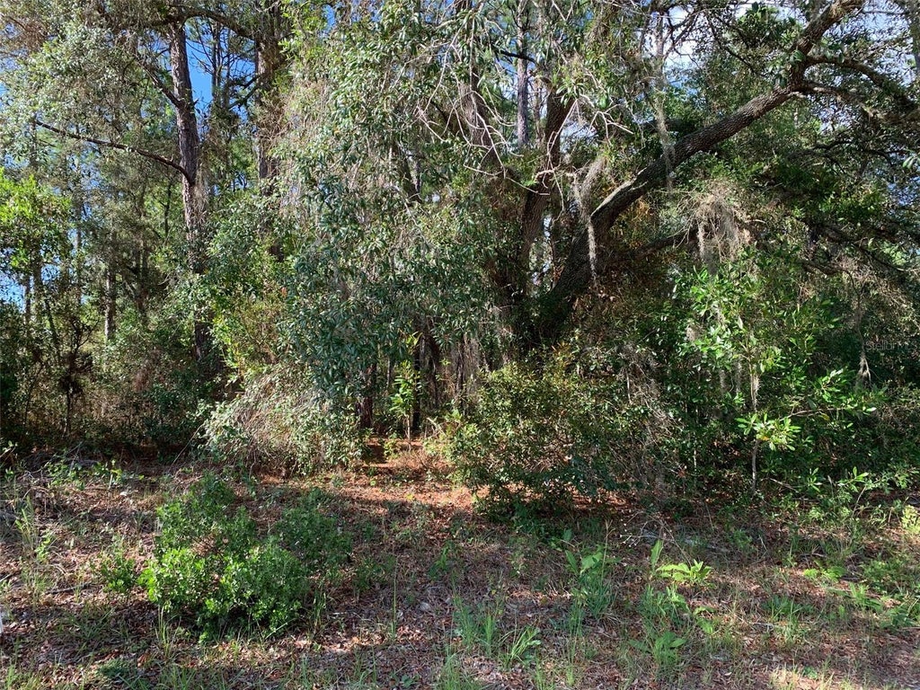 Photo of 4081 W Findlay Street, Dunnellon, FL 34433 (MLS # OM726622)