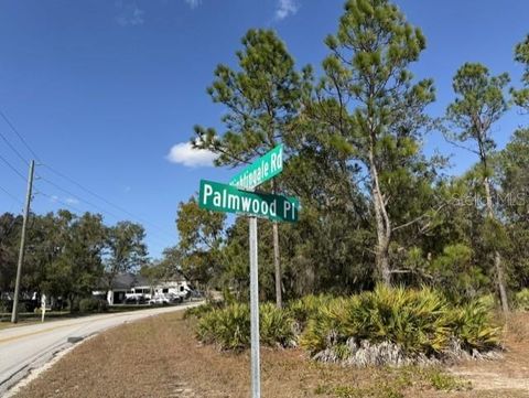 Photo of 9180 Nightingale Rd, Weeki Wachee, FL 34613 (MLS # OM713649)