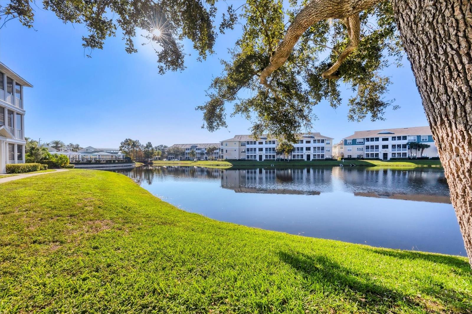 THE PALMS OF CORTEZ - Residential