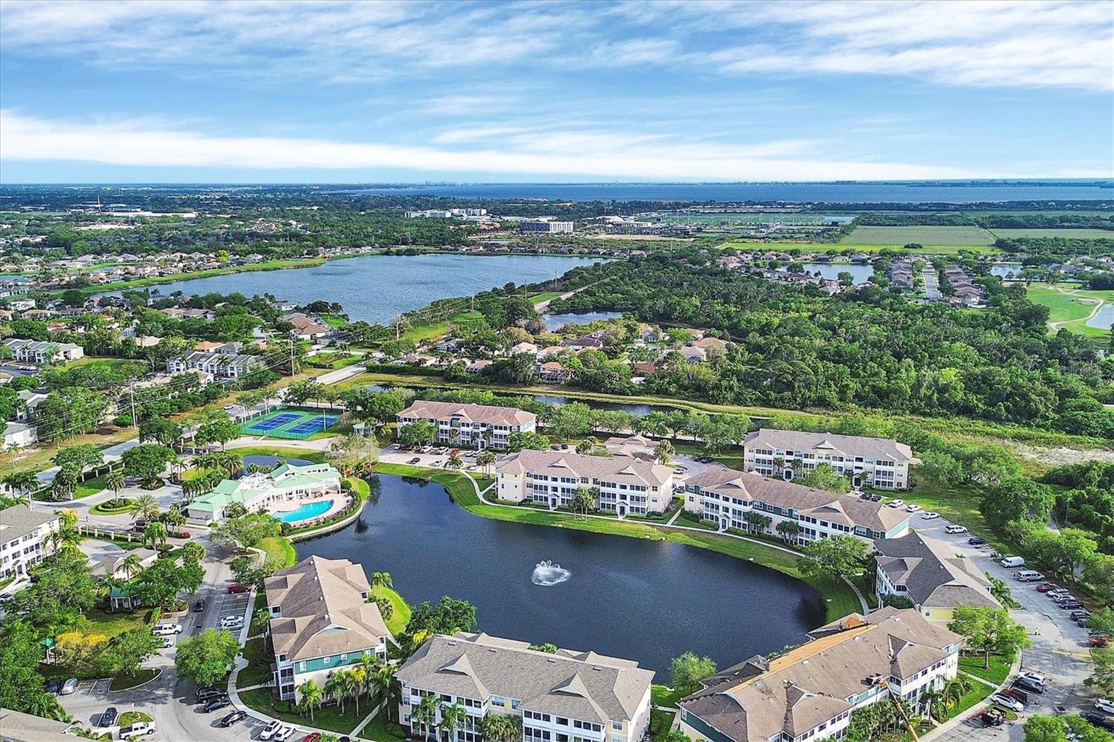 THE PALMS OF CORTEZ - Residential