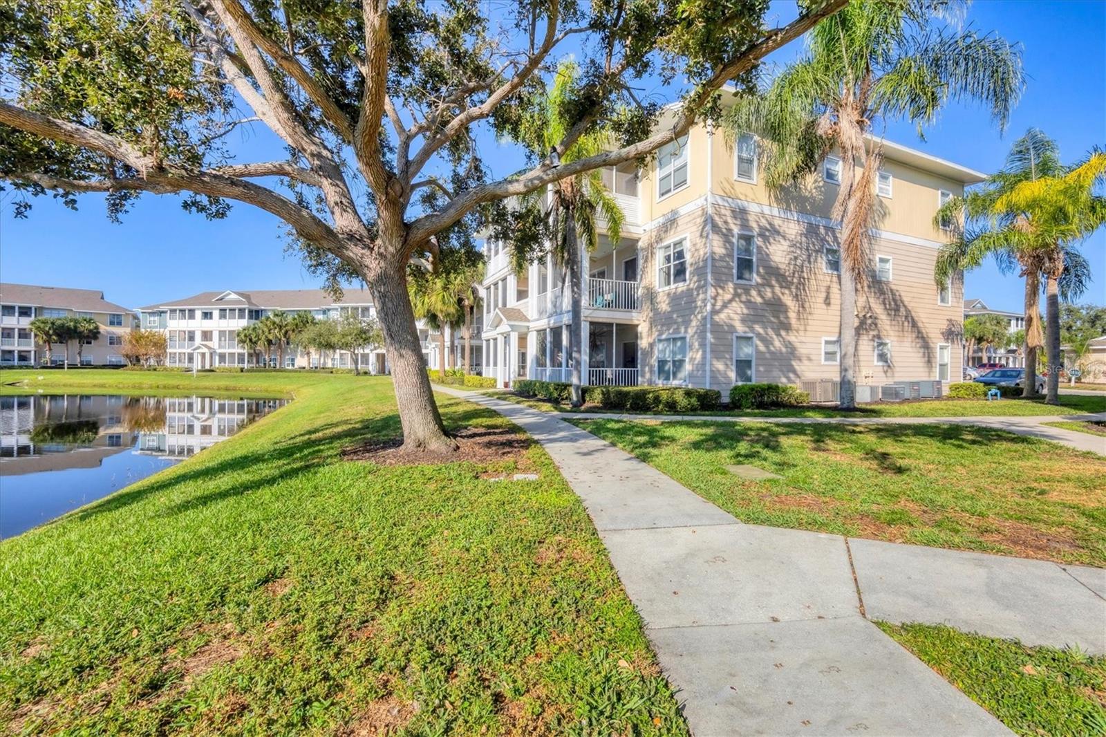 THE PALMS OF CORTEZ - Residential