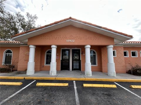 37922 DAUGHTERY ROAD ZEPHYRHILLS FL 33541