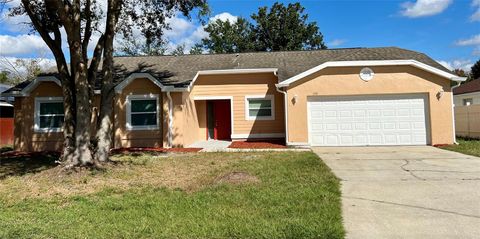 A home in KISSIMMEE