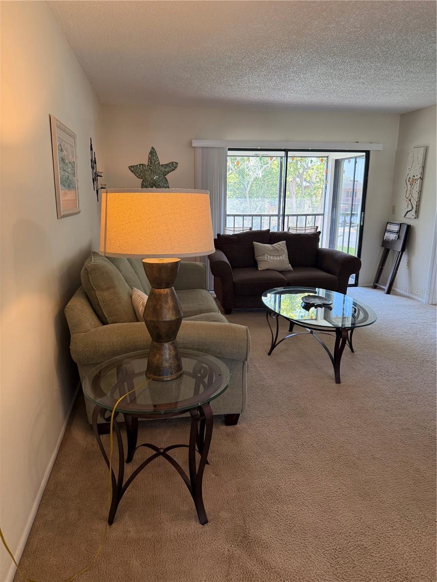 MEADOWS CONDO AT EAST LAKE WOODLANDS - Residential