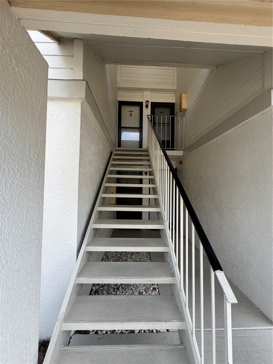 MEADOWS CONDO AT EAST LAKE WOODLANDS - Residential