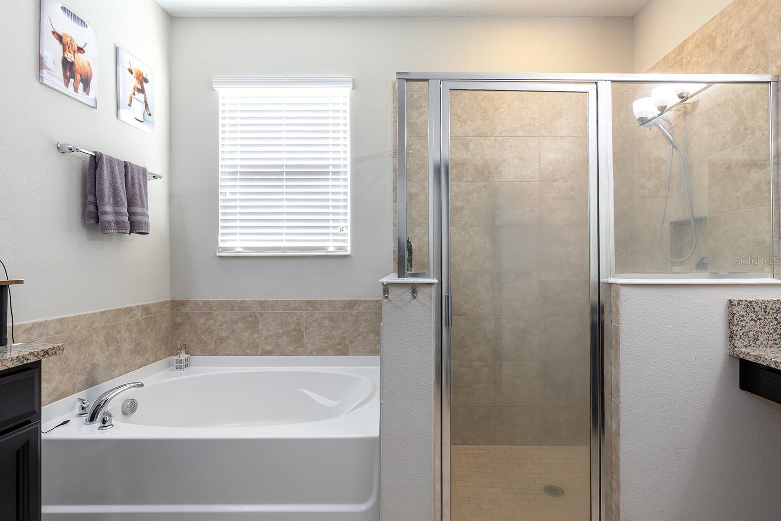 ROCK SPGS RDG PH VII-B - Residential