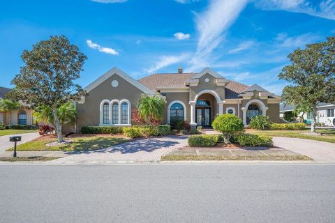 1217 VISTA HILLS DRIVE LAKELAND FL 33813