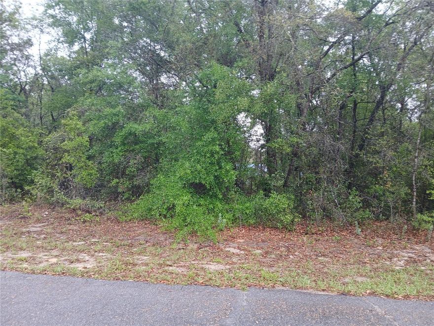This lot is located in a highly desired up and coming community located just West of Ocala. The community has it's own Library and community center as well as a golf course. Bring your water toys as this community is just minutes from the world famous Rainbow and Withlacoochee Rivers, Lake Rousseau and The Gulf.