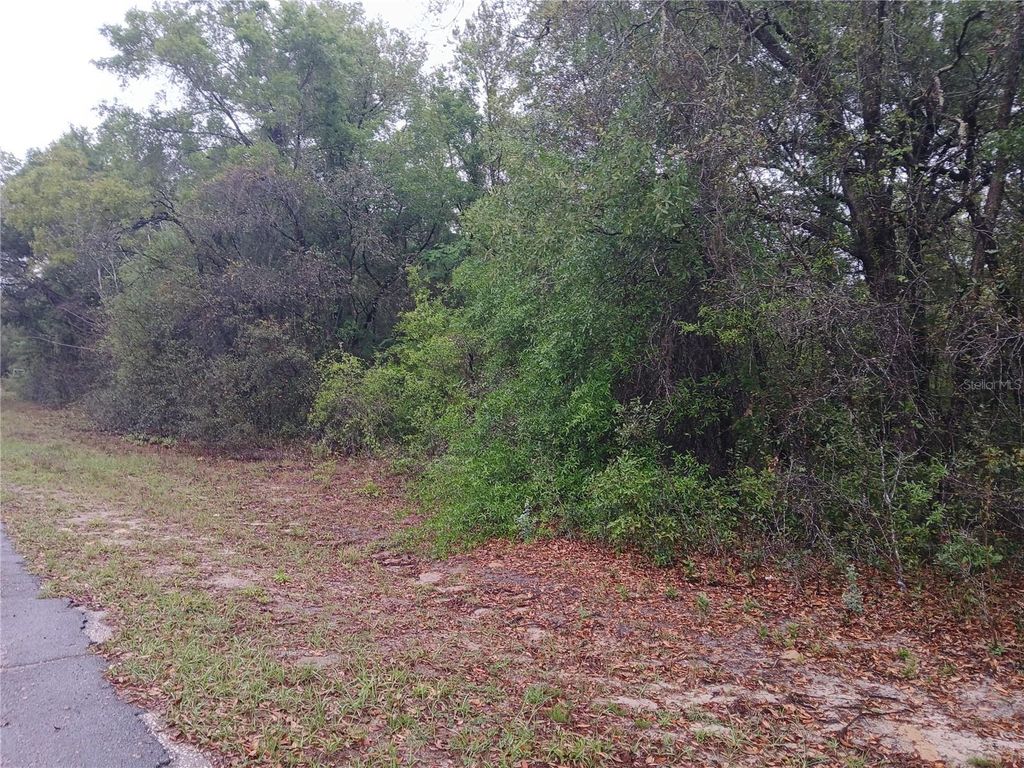 Photo of 7851 N Vince Drive, Citrus Springs, FL 34434 (MLS # OM722250)