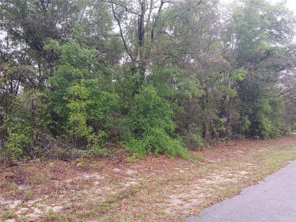 Photo of 7851 N Vince Drive, Citrus Springs, FL 34434 (MLS # OM722250)