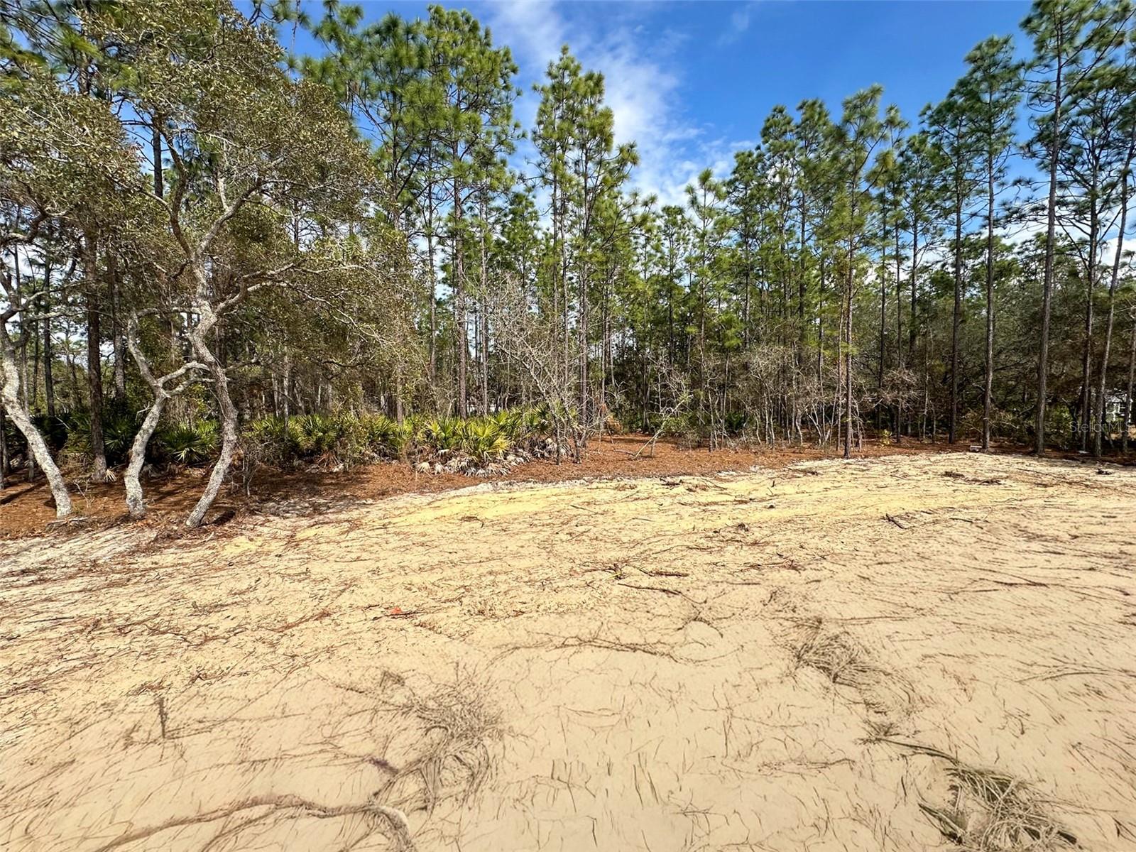 PINE RIDGE UNIT 06 - Residential