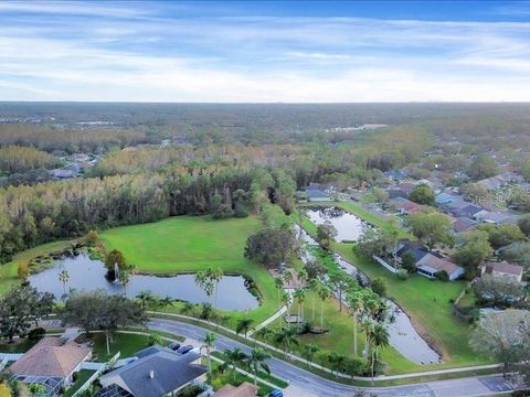 A home in TAMPA