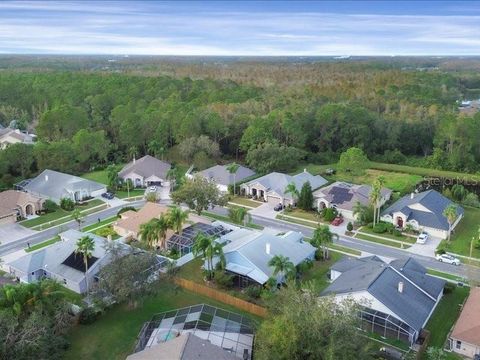 A home in TAMPA