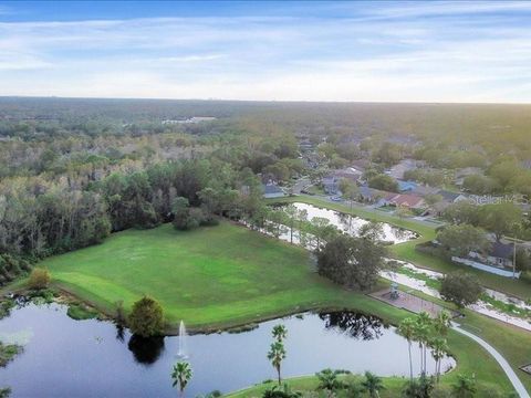 A home in TAMPA