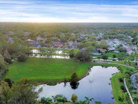 A home in TAMPA