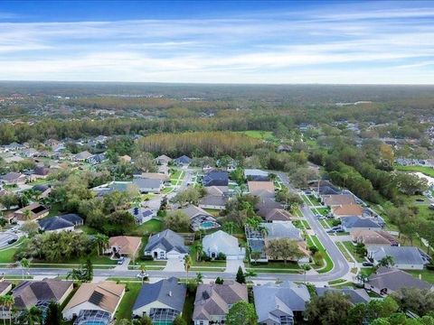 A home in TAMPA