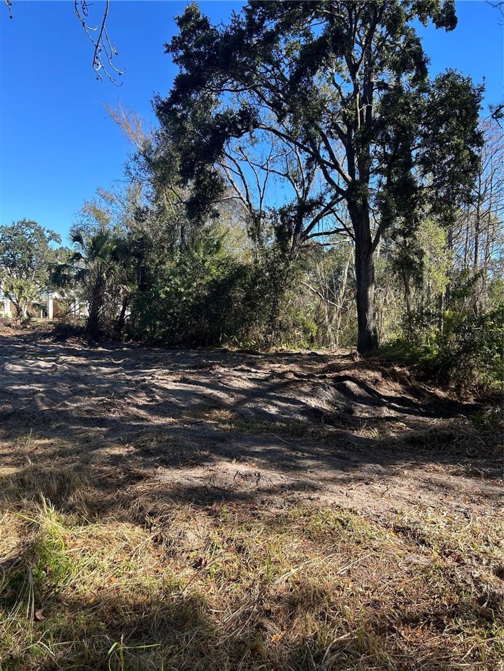 Photo of 5927 Lynn Road, Tampa, FL 33624 (MLS # TB8466136)