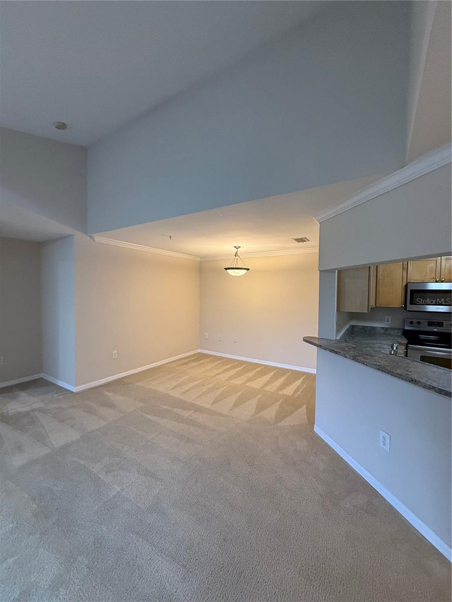 RESERVE AT JAMES ISLAND CONDOMIMIUM - Residential