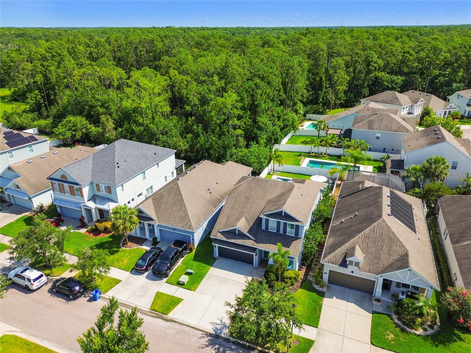 CHAMPIONS FOREST - Residential