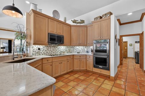 Tiny photo for 16238 E Shirley Shores Road, Tavares, FL 32778 (MLS # TB8484778)