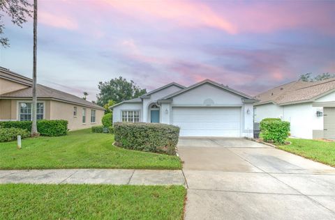 A home in VALRICO