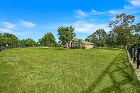 Tiny photo for 21320 Marsh View Court, Clermont, FL 34715 (MLS # G5111750)