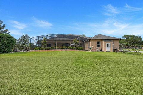 Tiny photo for 21320 Marsh View Court, Clermont, FL 34715 (MLS # G5111750)