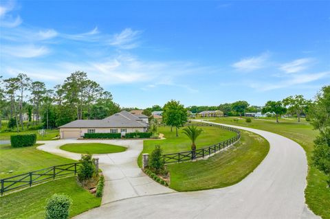 Tiny photo for 21320 Marsh View Court, Clermont, FL 34715 (MLS # G5111750)