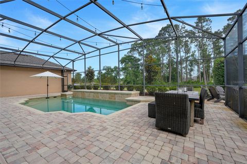 Tiny photo for 21320 Marsh View Court, Clermont, FL 34715 (MLS # G5111750)